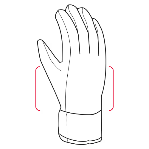 Leki Alp: Comfort Fit 1