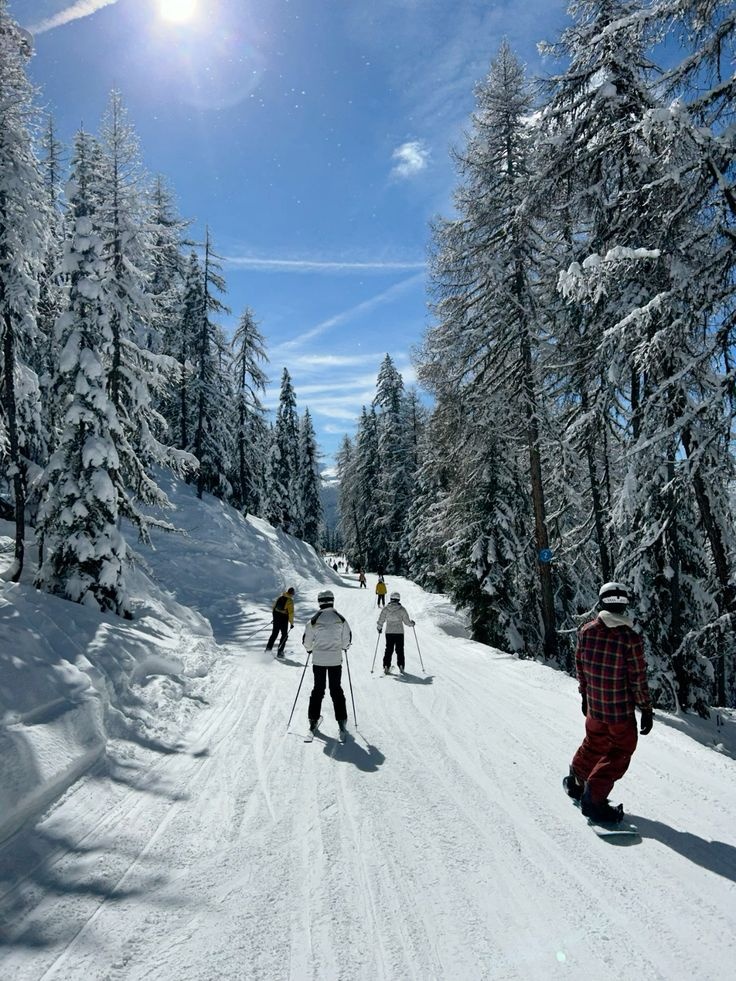 Траси Буковеля для катання на лижах і сноуборді