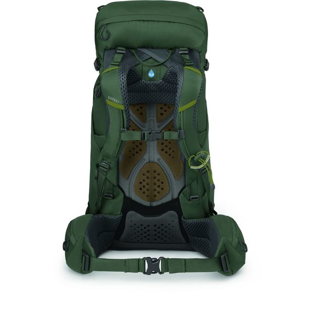 Рюкзак Osprey Kestrel 38 Bonsai Green - фото 3