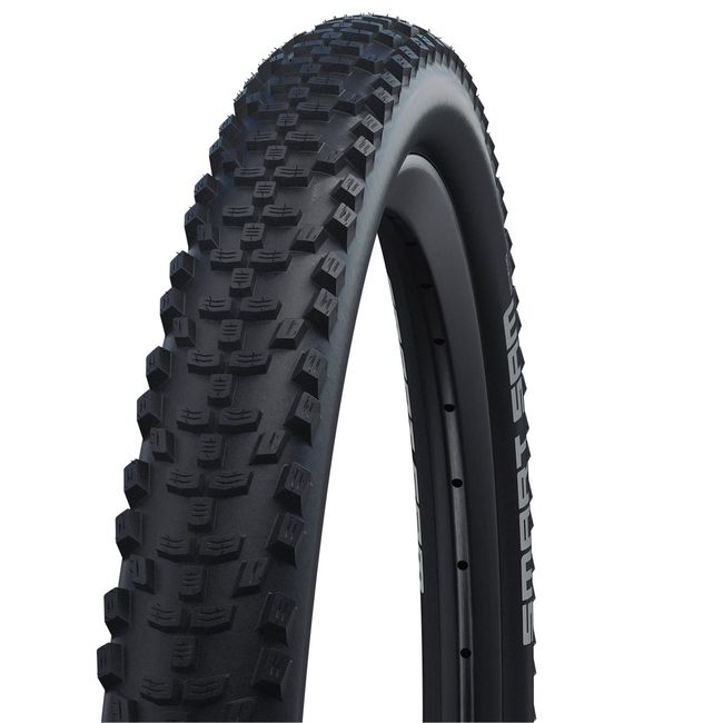 Покришка Schwalbe Smart Sam 29x2.10 (54-622) Performance, ADDIX, B/B-SK - фото 1