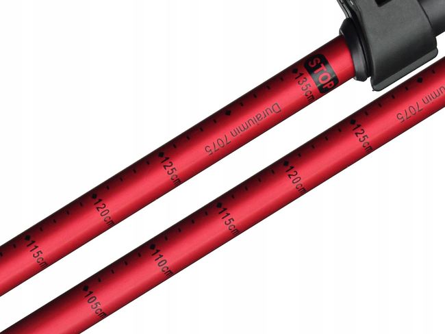 Трекінгові палиці Viking Kibo - фото 4