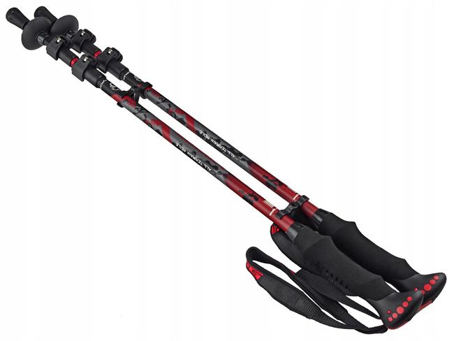 Трекінгові палиці Viking Kibo - фото 1