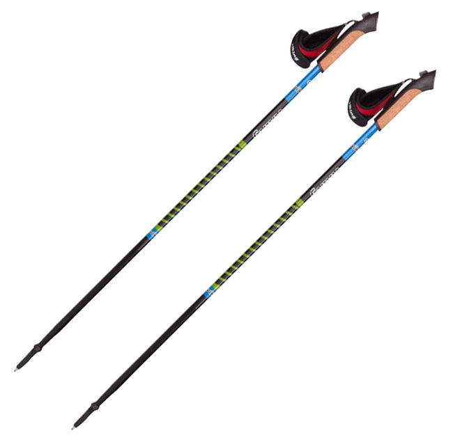 Палки для скандинавської ходьби Nordic Walking Viking VARIT Blue - фото 1