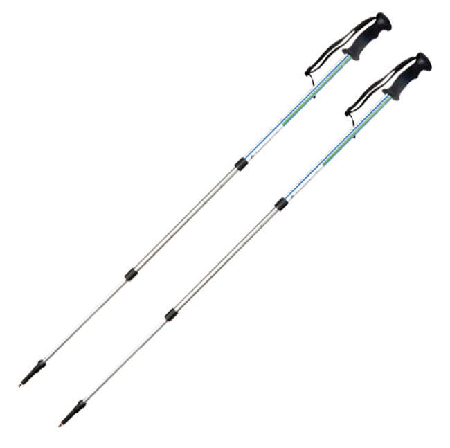 Палки трекінгові Viking ILO 615/15/1110 - фото 1