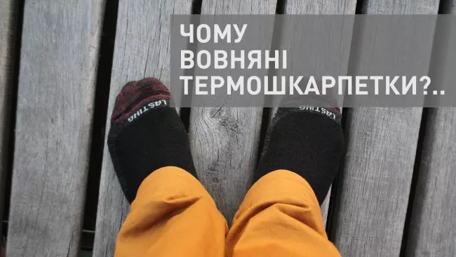Шкарпетки Lasting WLS 909 Gray - фото 2