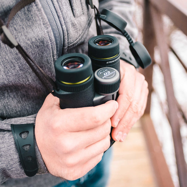 Бінокль Vanguard Endeavor ED 10x42 WP (Endeavor ED 1042) - фото 17