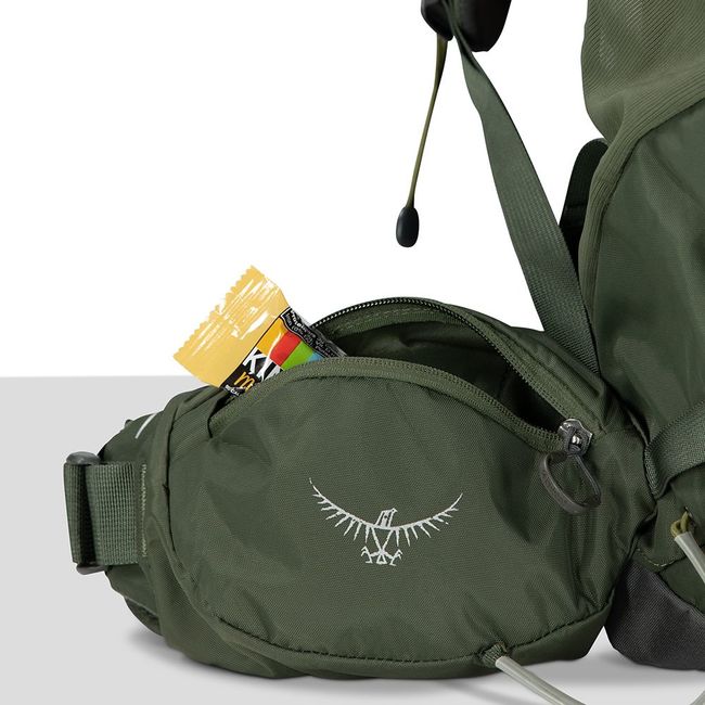 Рюкзак Osprey Kestrel 38 Bonsai Green - фото 6