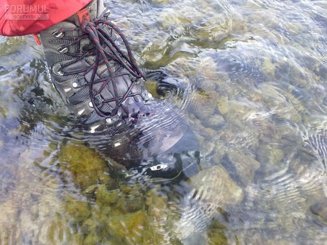 Черевики Salomon QUEST 4D GTX - фото 5