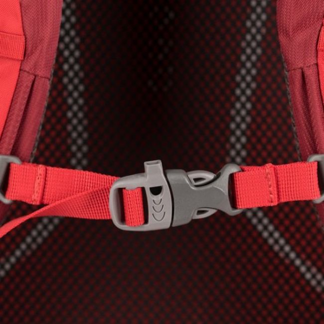 Рюкзак Osprey PANDION 28 Robust Red - фото 8