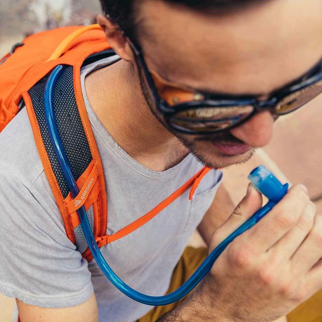 Рюкзак Gregory Nano 20 Burnished Orange - фото 2