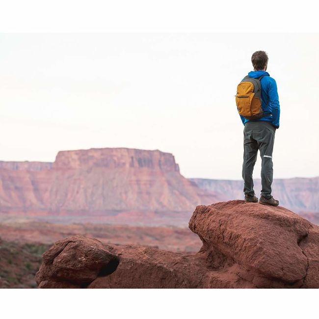 Рюкзак Osprey Daylite Plus Cosmic Red - фото 3