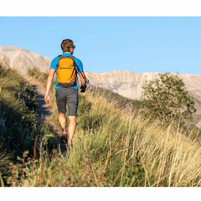 Рюкзак Osprey Daylite Plus Cosmic Red - фото 5