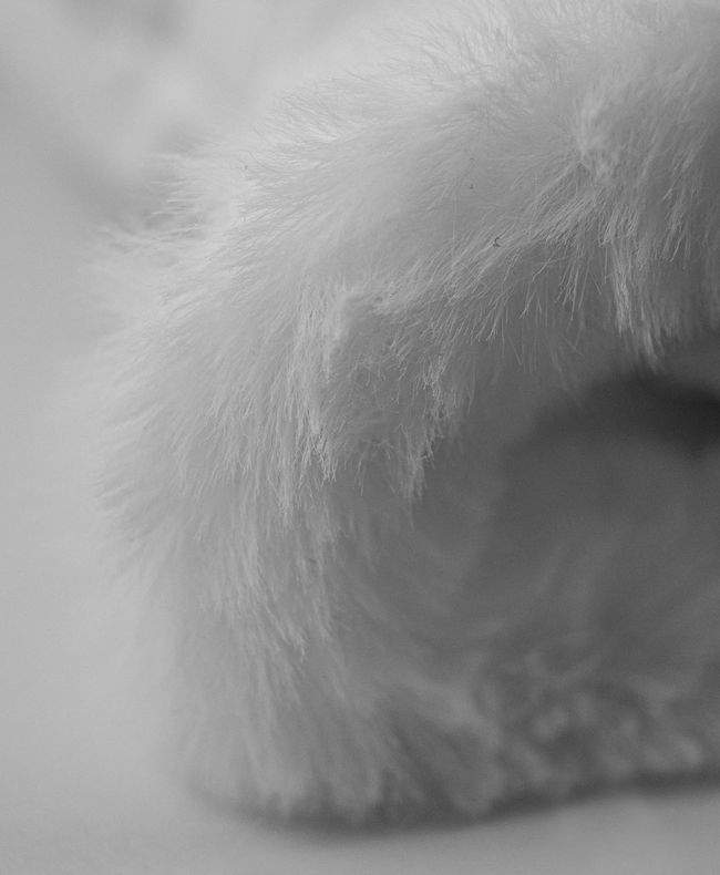 Рукавички жіночі Reusch Luna R-TEX XT White - фото 7