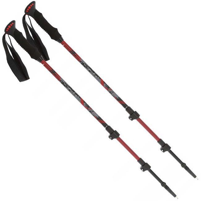 Трекінгові палиці Viking Kibo - фото 2