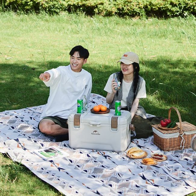 Туристичний холодильник Naturehike CNH22CJ10001 45L Brown - фото 9