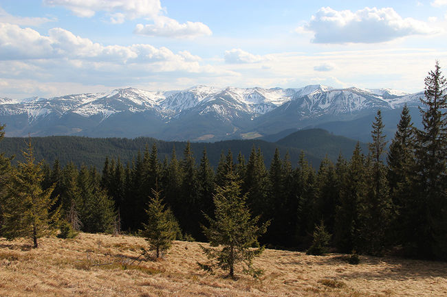 Туристична карта 