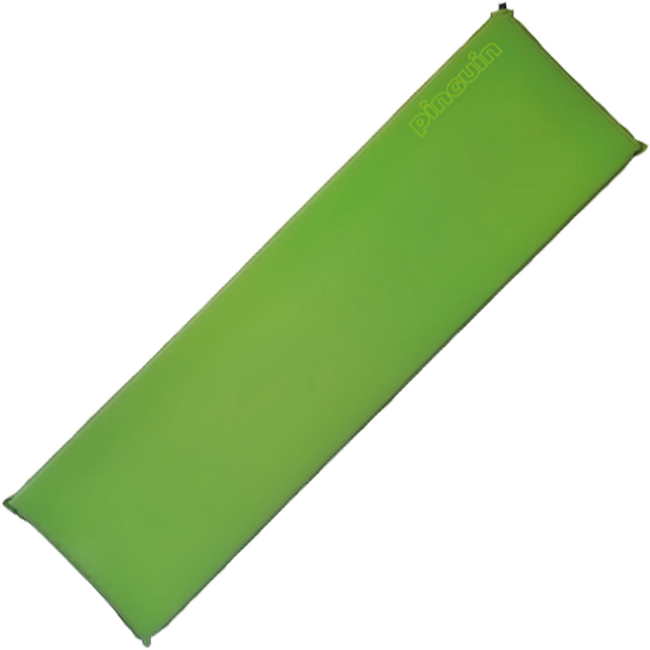 Килимок самонадувний Pinguin Horn 30 Green - фото 1