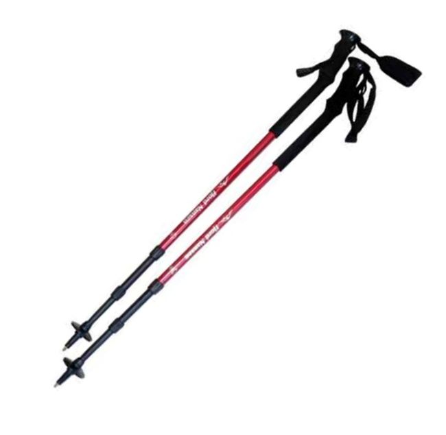 Палки трекінгові Fjord Nansen GRANITE Antishock - фото 1