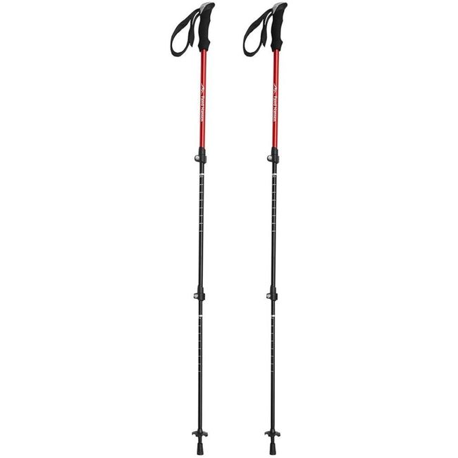 Палки трекінгові Fjord Nansen Gravel 2 - фото 1