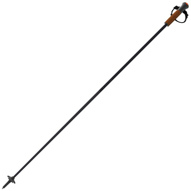 Гірськолижні палиці Fischer One Way GT 13 Carbon Mag '26 - фото 1