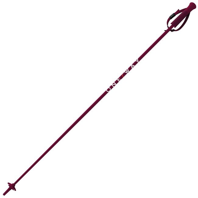 Гірськолижні палиці Fischer One Way GTX 14 Red - Complete Kit '26 - фото 1