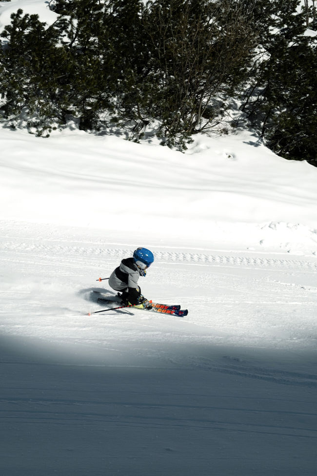 Гірські лижі Fischer The Curv Pro + Кр. FS 7 GW CA JRS '26 - фото 5