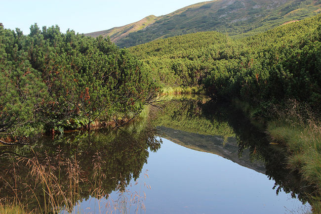 Туристична карта 