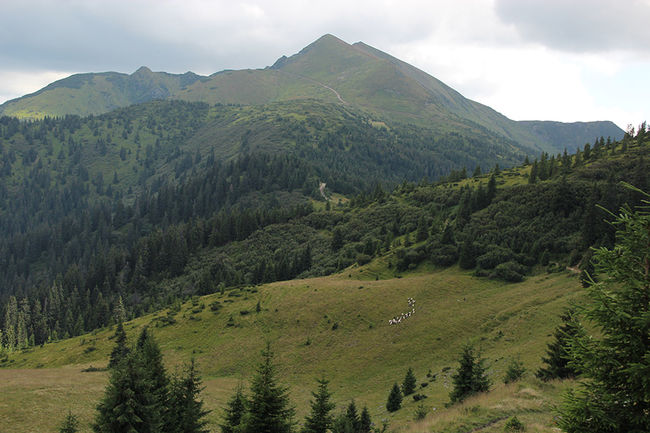 Туристична карта 