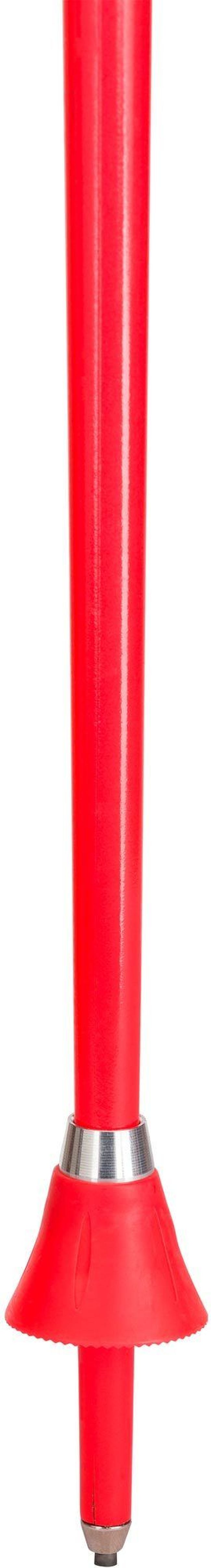 Гірськолижні палиці Rossignol Hero GS/SG - фото 2