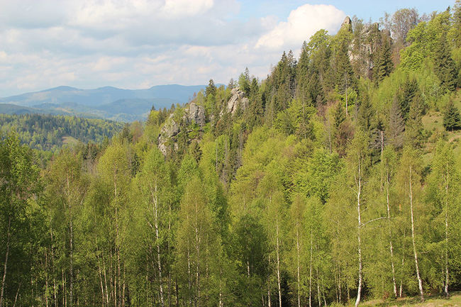 Туристична карта 