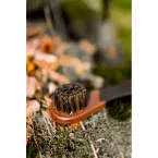 Щітка для взуття Storm Applicator Brush - фото 3