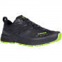 Кросівки Lowa Amplux black-lime