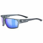 Окуляри Uvex Sportstyle 233 P Smoke matt
