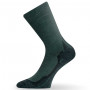 Шкарпетки Lasting WHI 620 Green