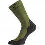 Шкарпетки Lasting WHI 699 Green