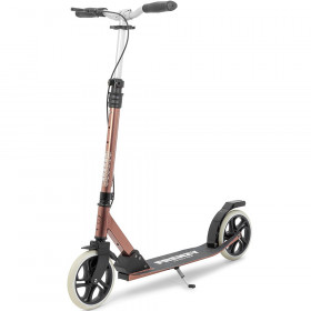 Cамокат Frenzy Dual Brake V4 205 mm