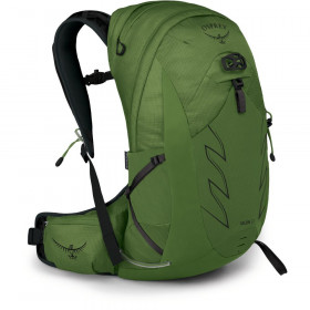 Рюкзак Osprey Talon 22 Green belt/Black