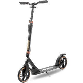 Cамокат Frenzy Dual Brake V4 205 mm