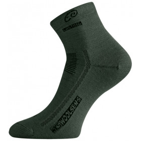 Шкарпетки Lasting WKS 620 Green